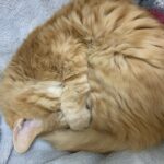 Thumbnail of related posts 087