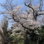 Thumbnail of related posts 017