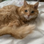 Thumbnail of related posts 019