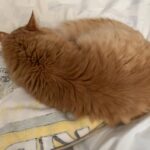 Thumbnail of related posts 020