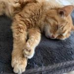 Thumbnail of related posts 107