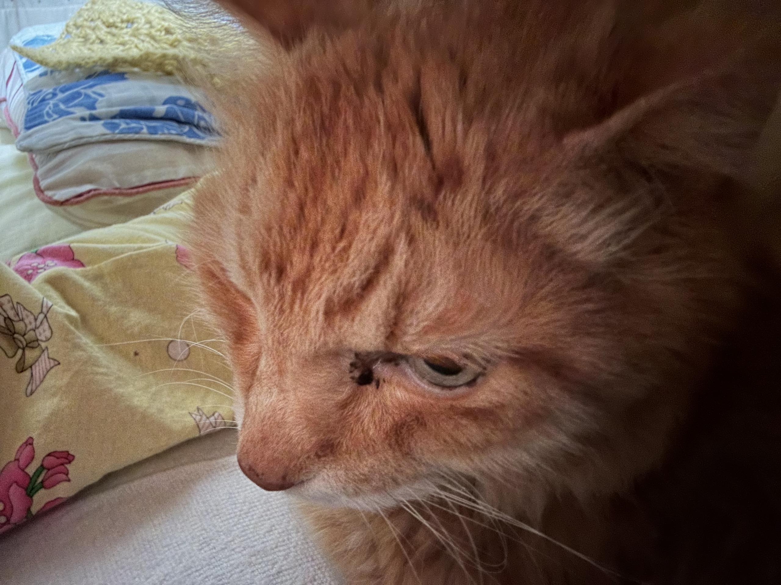 Thumbnail of post image 030