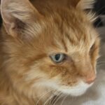 Thumbnail of related posts 112