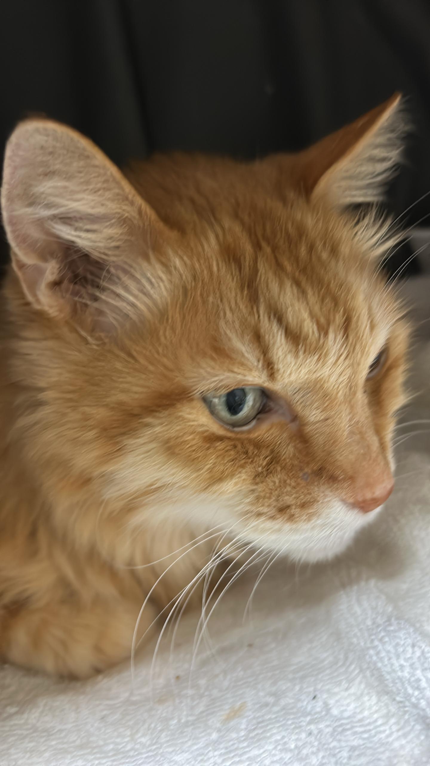 Thumbnail of post image 200