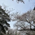 Thumbnail of related posts 040