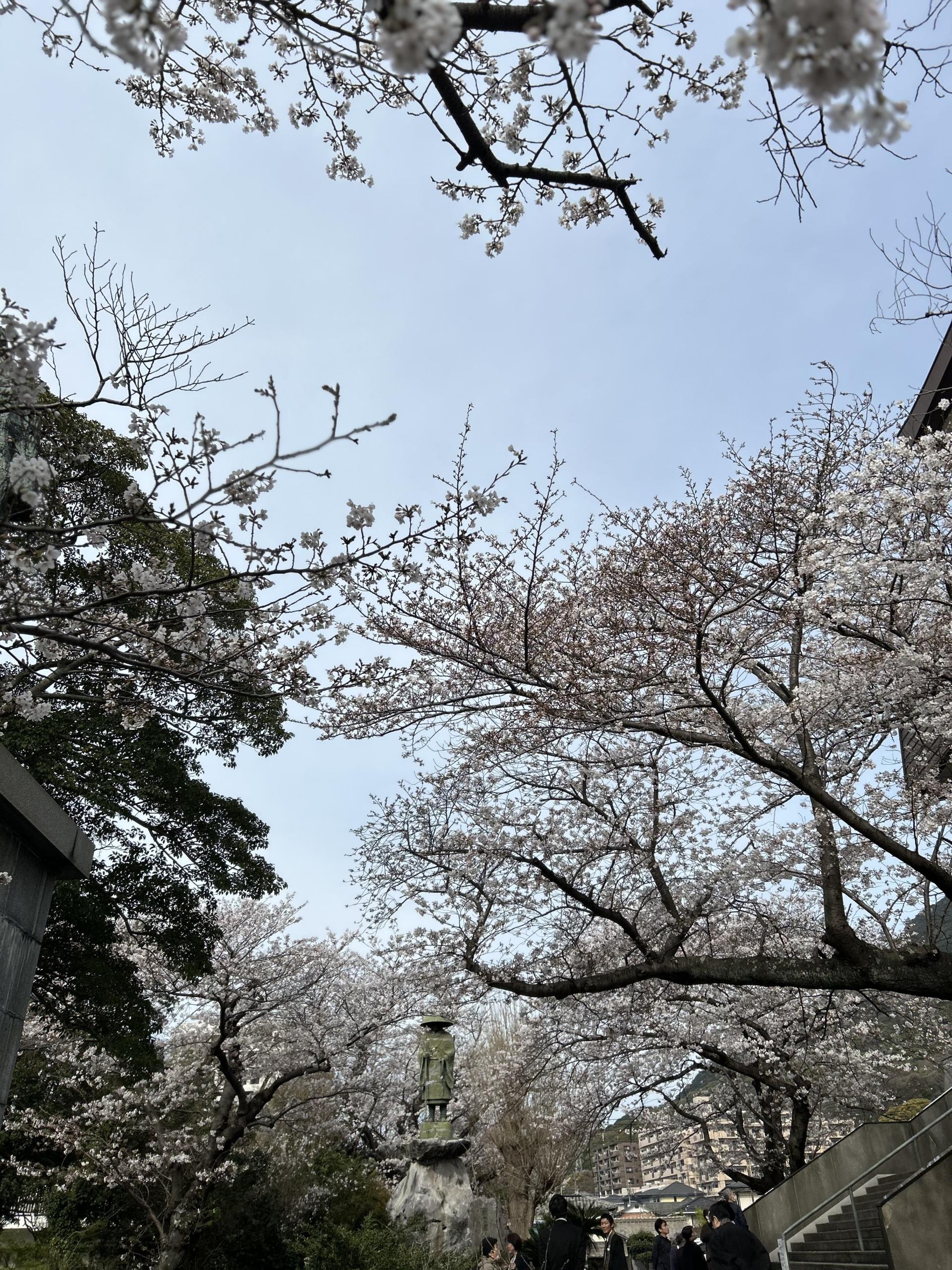 Thumbnail of post image 016