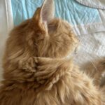Thumbnail of related posts 050